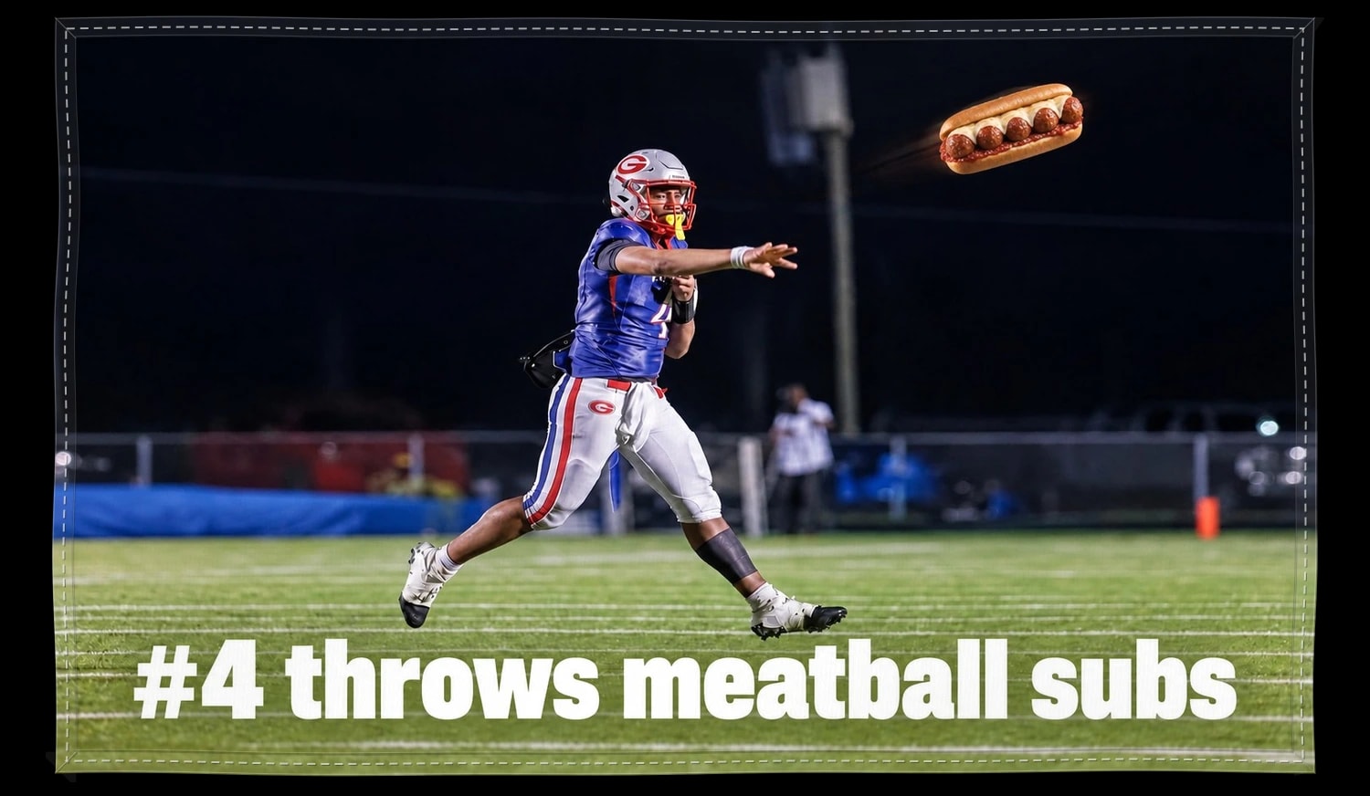Meatball Sub Flag