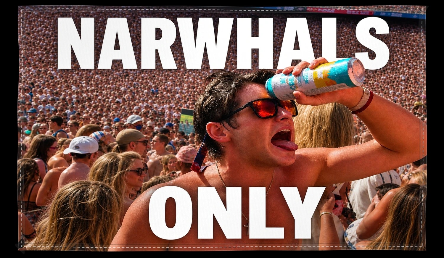 Narwhals Only Flag