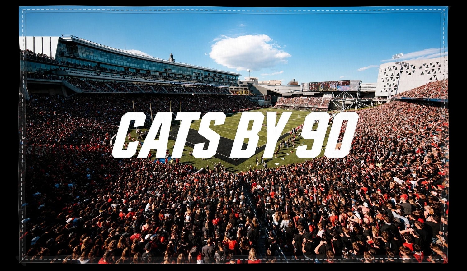 Cats by 90